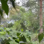 Greenthumb Praska Apartmán
