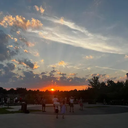 アパート Greenthumb Praska