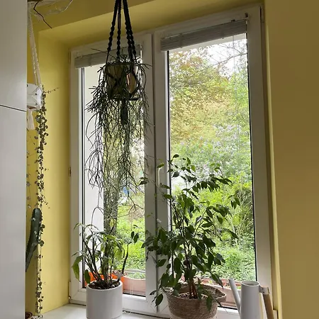 Greenthumb Praska Apartmán