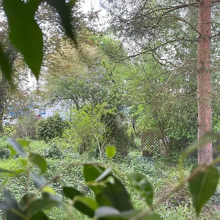 Greenthumb Praska Apartmán