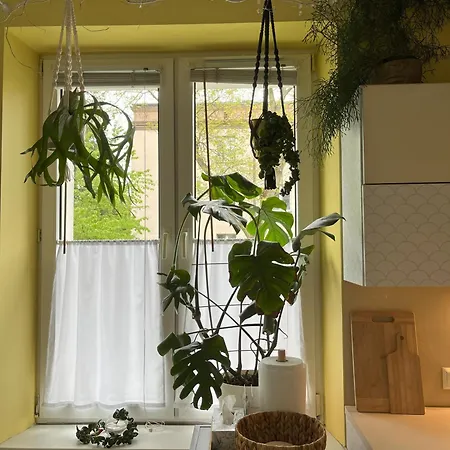 Greenthumb Praska Apartmán