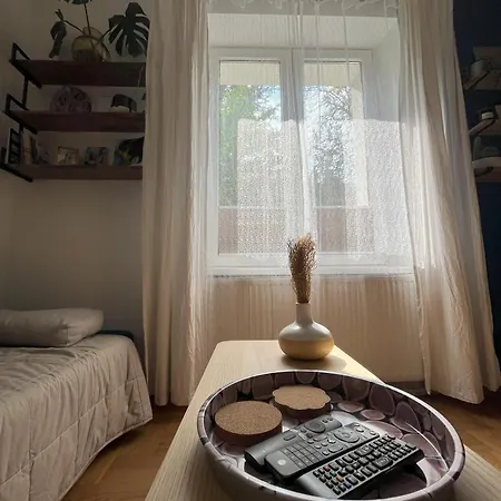 Greenthumb Praska クラクフ