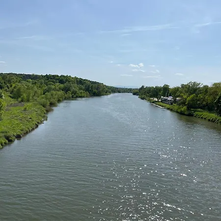 Greenthumb Praska Daire