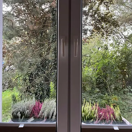 公寓 Greenthumb Praska