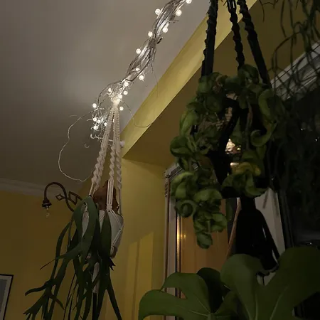 Apartmán Greenthumb Praska