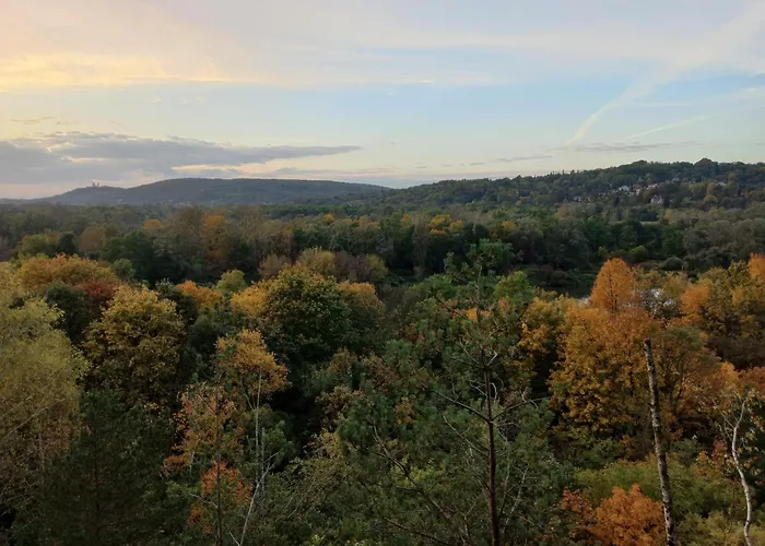 Greenthumb Praska * Kraków