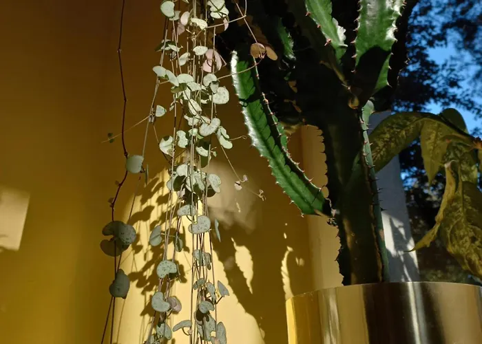 Διαμέρισμα Greenthumb Praska Krasków