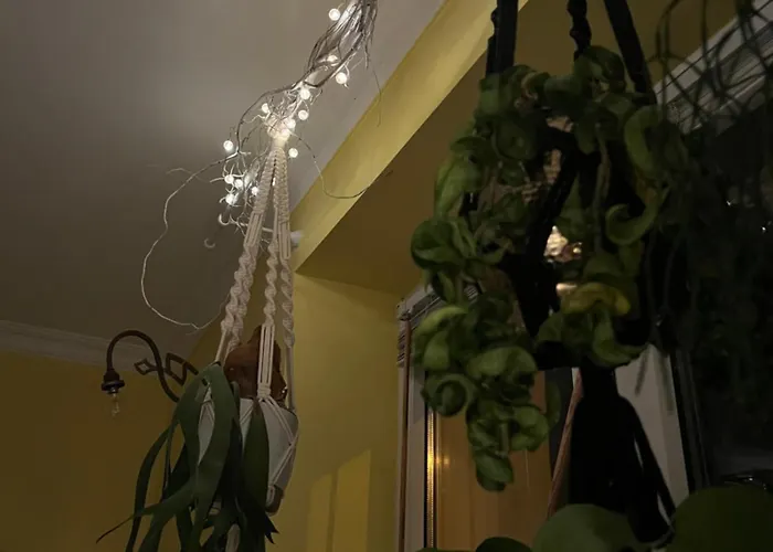 Apartment Greenthumb Praska