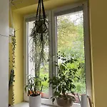 Greenthumb Praska Apartament