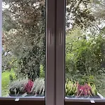 Apartament Greenthumb Praska