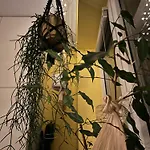 Apartament Greenthumb Praska *